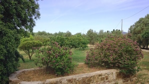 A stone retaining wall with a paved walkway, surrounded by flowering shrubs and trees. - Residenza I Filari: a villa surrounded by greenery. (Alghero)