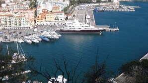 Ein Yachthafen mit mehreren vertäuten Booten, einem großen Kreuzfahrtschiff und einer Stadtkulisse im Hintergrund.