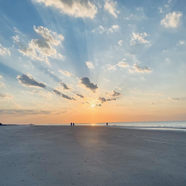 Plage, chaises longues