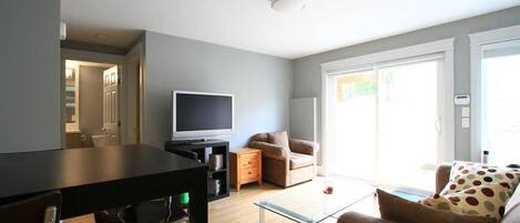 Televisión, reproductor de DVD y libros