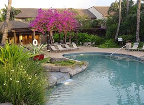 Outdoor pool, a heated pool - Great for families and couples.  Next to a tropical pool in Hawaiian landscape. (Wailea-Makena)