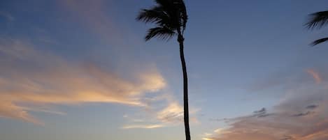 Playa en los alrededores, camastros y toallas de playa