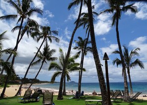 Una playa con palmeras, sillas de descanso y vista al océano.