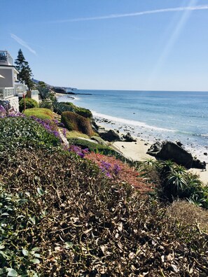 On the beach, sun-loungers - A Few Steps to the Beach! Ocean Views, Patio and 1 Car Garage Parking! (Laguna Beach)