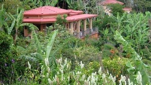Ein traditionelles Haus mit rotem Dach, umgeben von üppigem Grün und Bananenstauden.