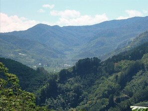 Photo non classée, 4 sur 18, bouton