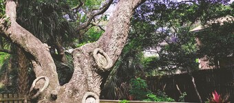 1ER STREET II BEACH HOUSE, MISE À JOUR DE CHIEN FRIENDLY CLÔTURÉ DANS LA COUR 1 BLOCK TO BEACH