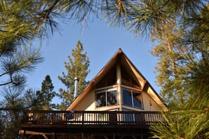 A cabin with a balcony, surrounded by pine trees.