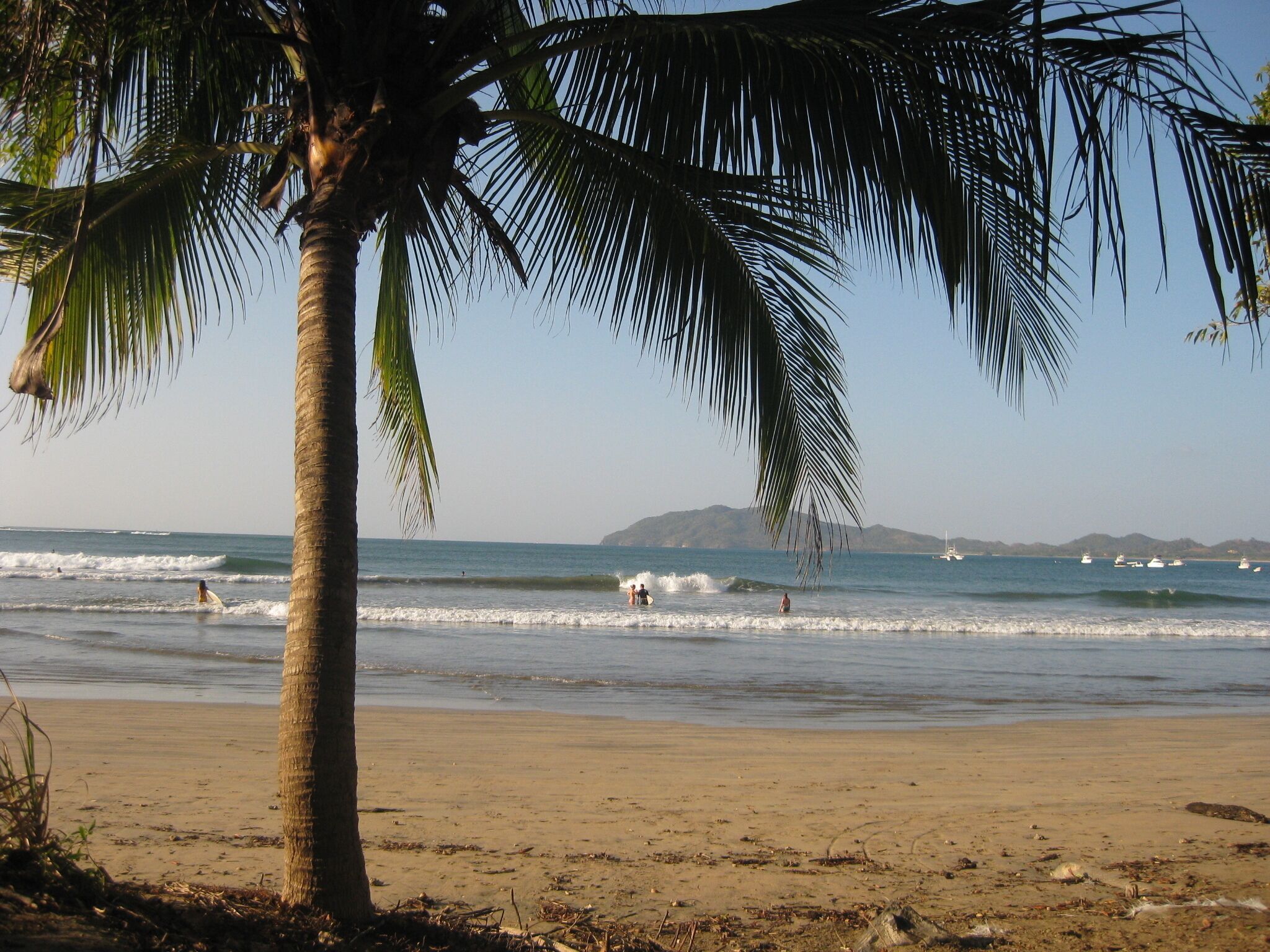 A beach with palm trees, ocean waves, and boats in the distance.