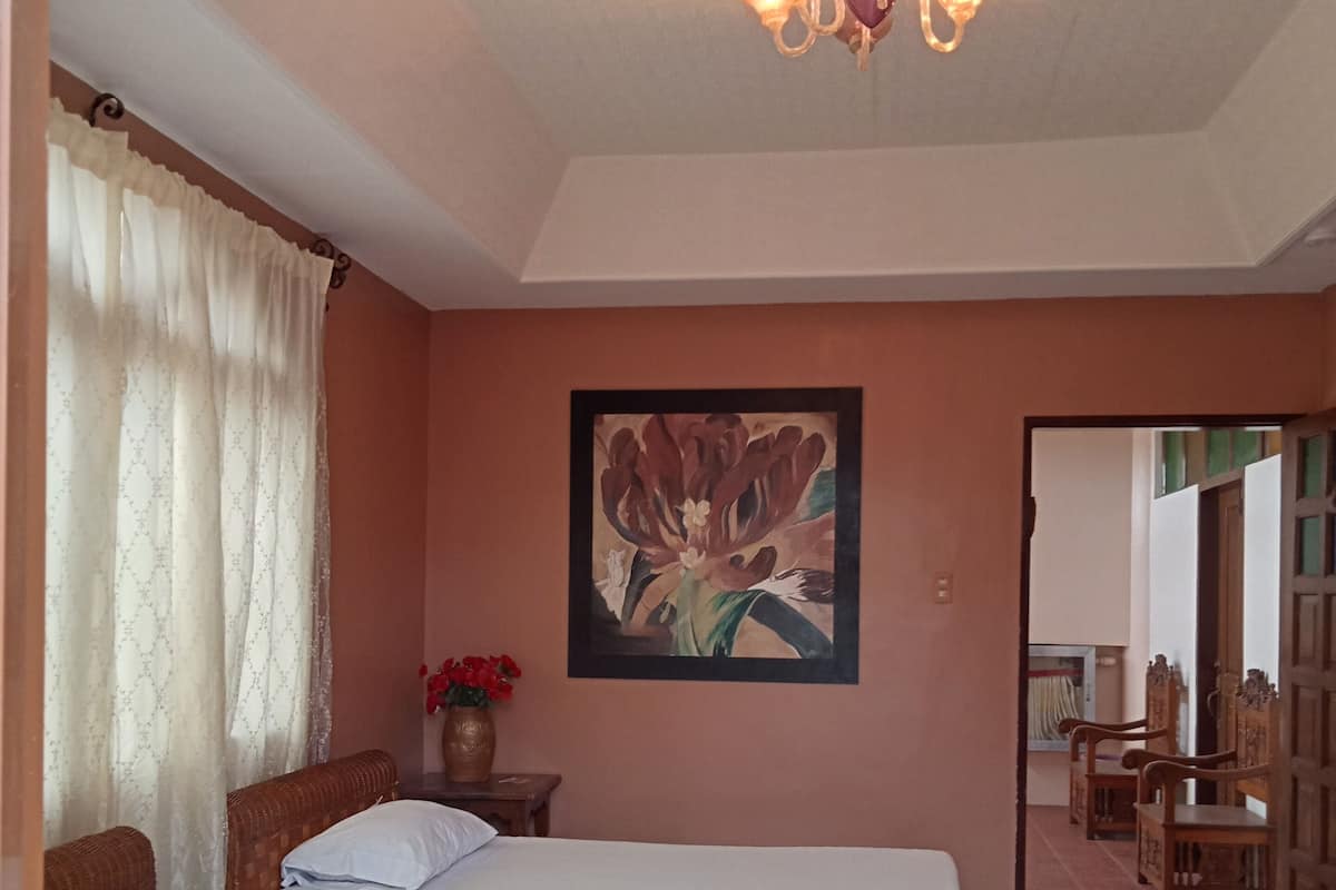 Presidential Suite | Iron/ironing board, free WiFi