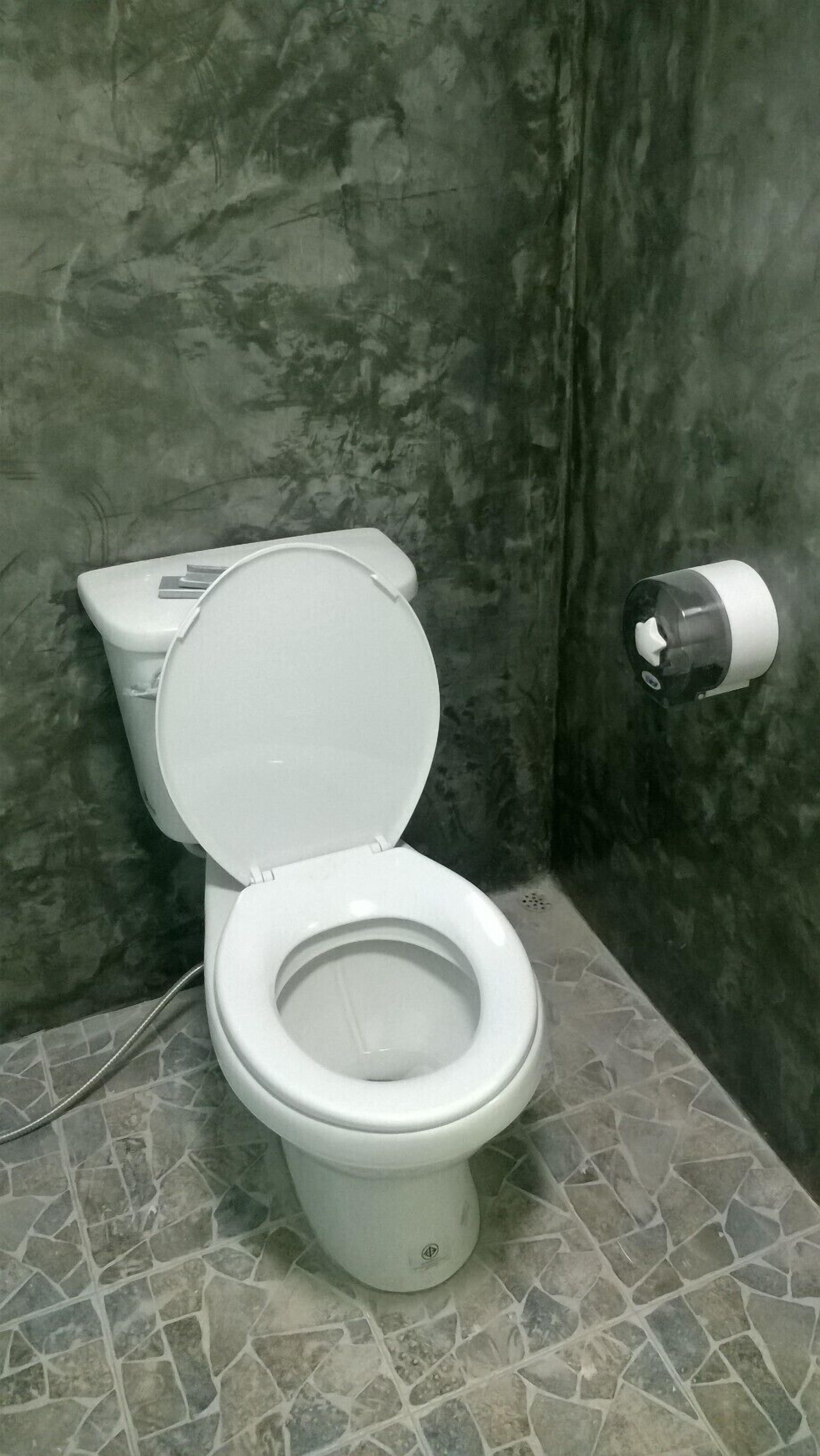 Et toilet med hvid skål og låg, toiletpapirholder på væggen og et flisegulv.