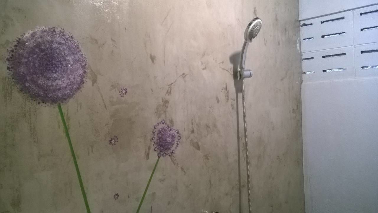 Standard Room  | Bathroom shower