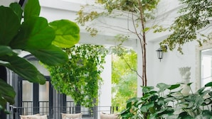 A modern indoor garden with a seating area, large potted plants, and a patterned floor.