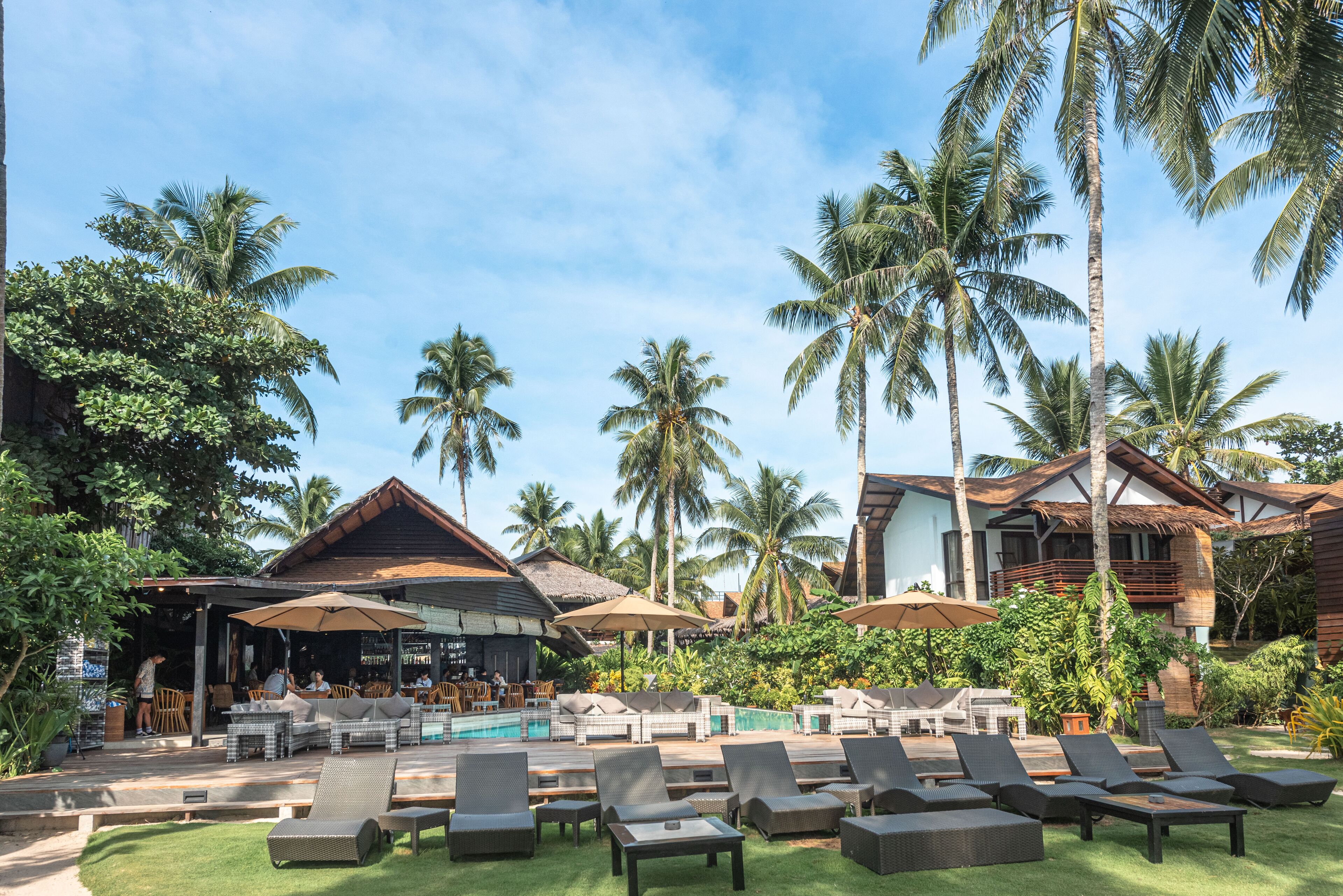 Outdoor pool, sun loungers