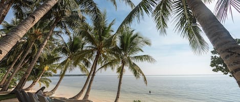 Vue sur la plage/l’océan