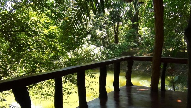 Una terraza de madera con vistas a un estanque rodeado de abundante vegetación.