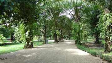 Children's activities