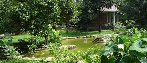 Puutarha