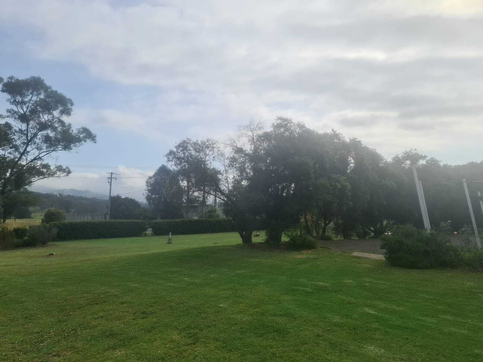 A grassy outdoor area with trees and a hedge.