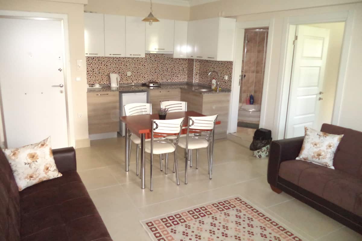 family room semi basement floor | living area | 55-cm lcd tv with satellite channels, tv