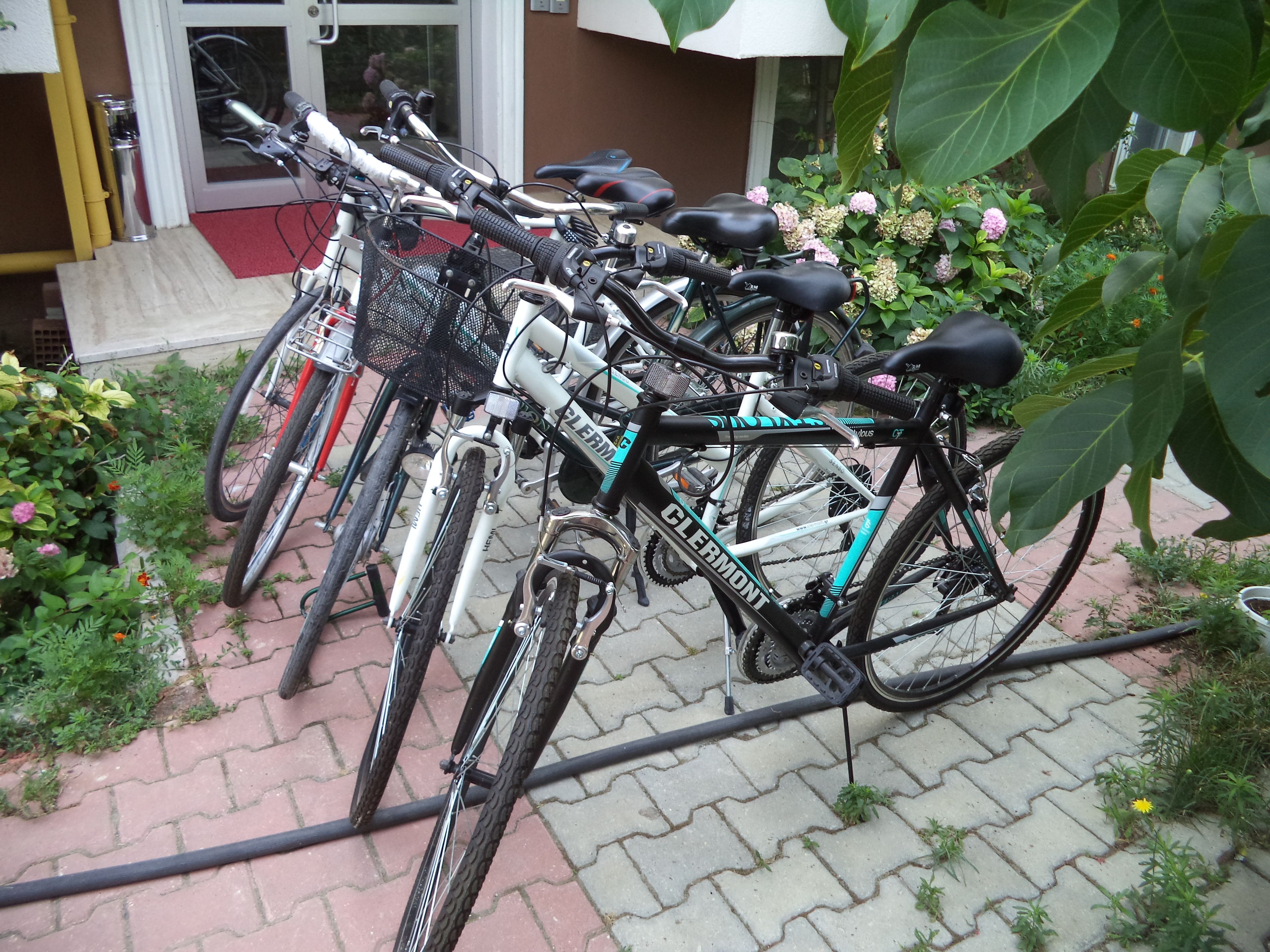 Varias bicicletas aparcadas frente a un edificio con alfombra roja y puerta de cristal.