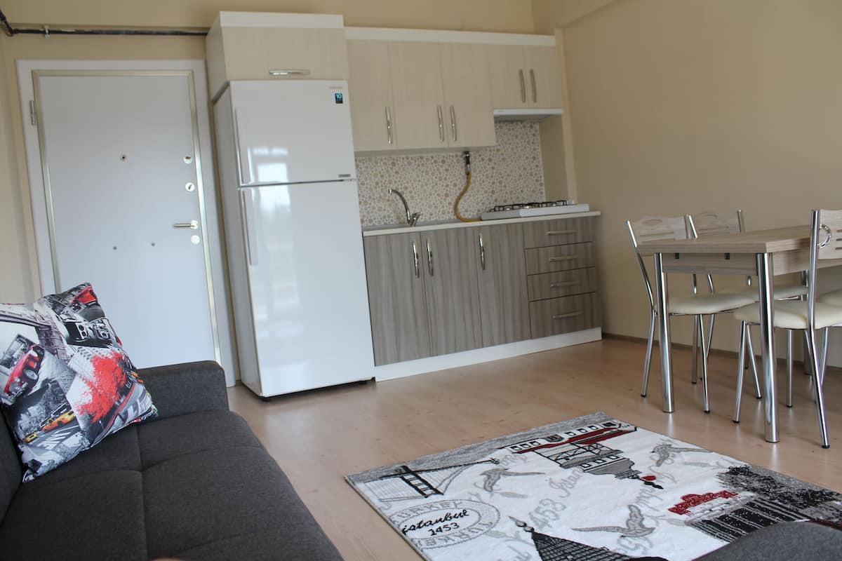 fridge, electric kettle, cleaning supplies