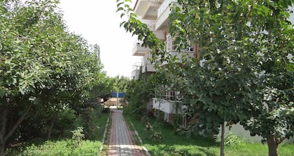 Karaagac Green