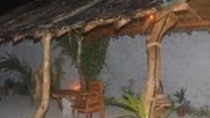 Une petite cabane au bord de la plage, avec un toit de chaume, des meubles en bois et des plantes en pot.
