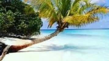 Yksityinen ranta lähistöllä