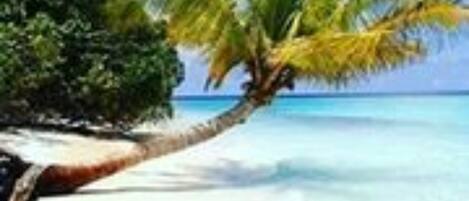 Playa privada en los alrededores