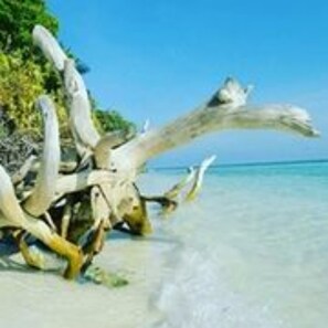 Platja privada a prop 