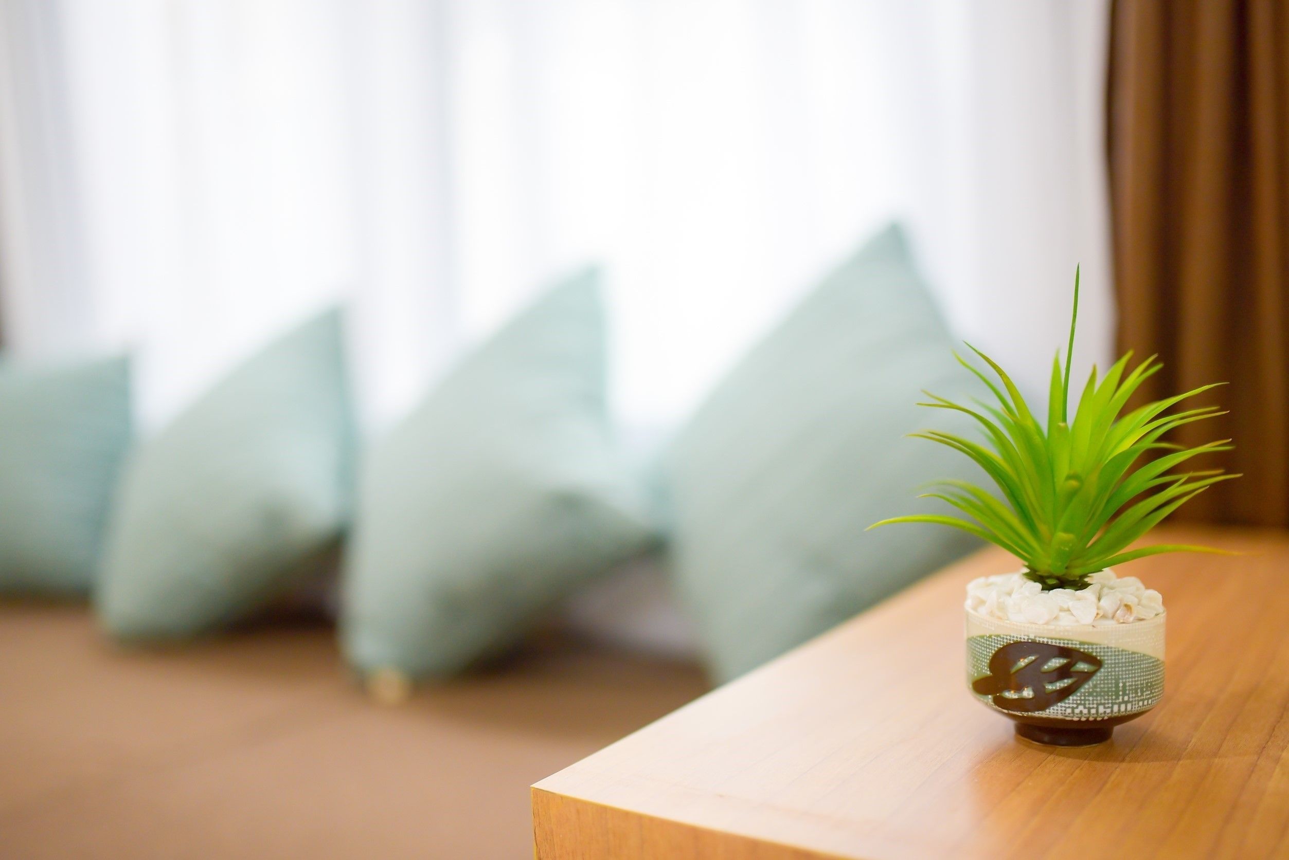A small potted plant on a wooden table with a decorative bowl, set against a backdrop of light-colored cushions.