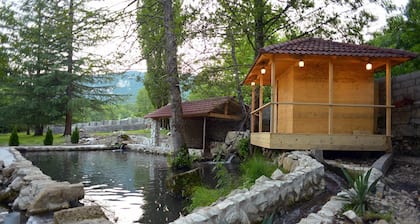 Chateau Chikovani