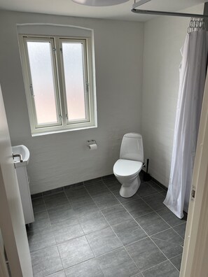 A bathroom with a toilet, a window, and a shower curtain.