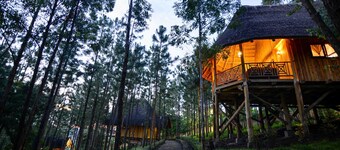 Parkview Safari lodge