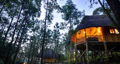 Parkview Safari lodge