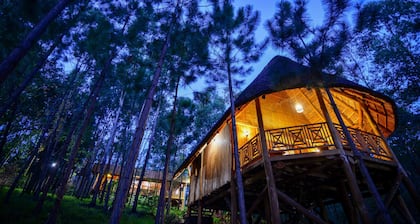 Parkview Safari lodge