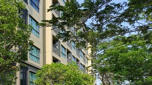 A pathway flanked by lush greenery and a modern building with multiple balconies.