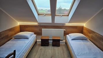 A small, modern room with two beds, a wooden headboard, a radiator, and a skylight.