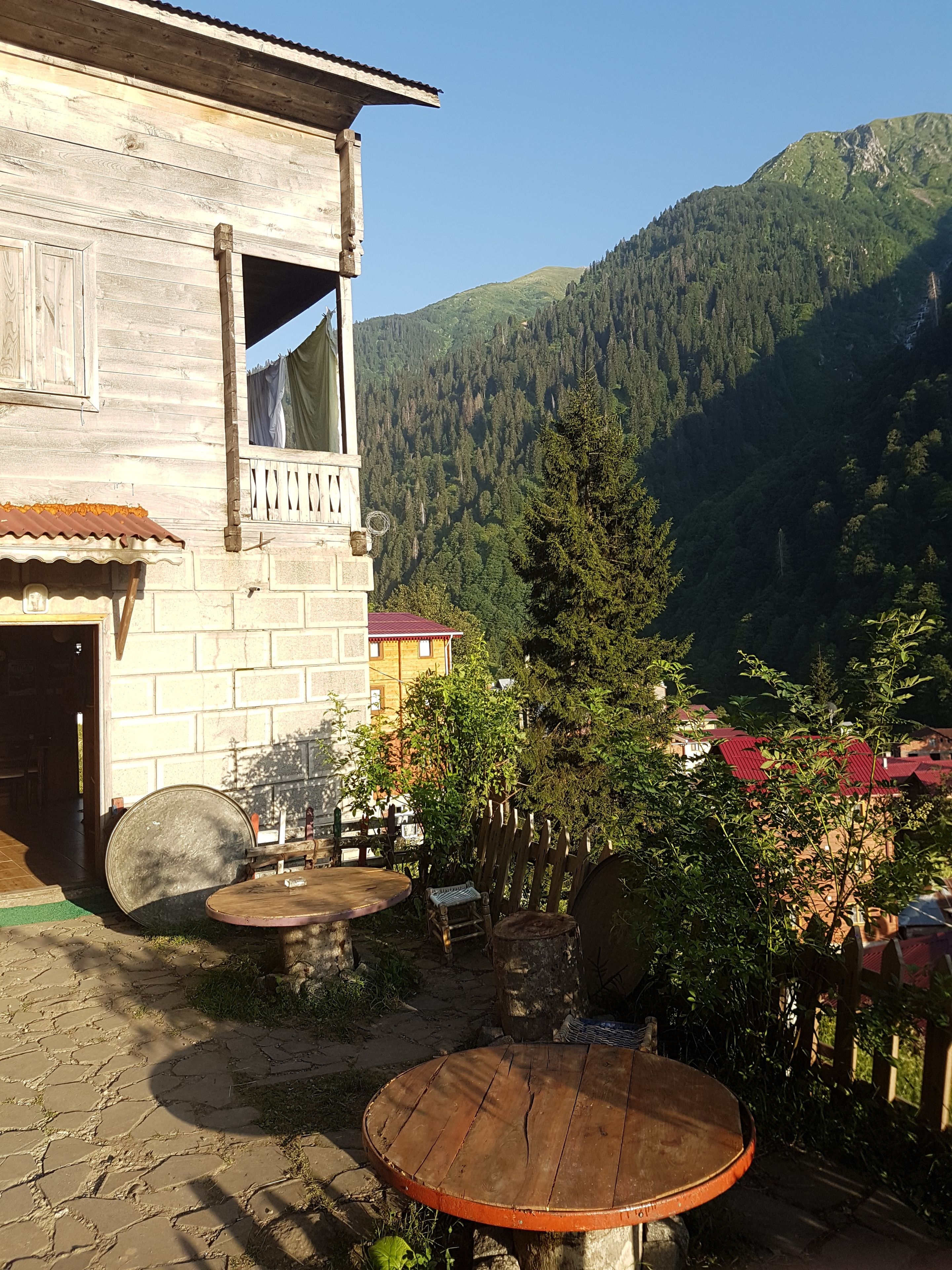 テラス / パティオ