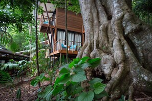 Vue depuis l’hébergement