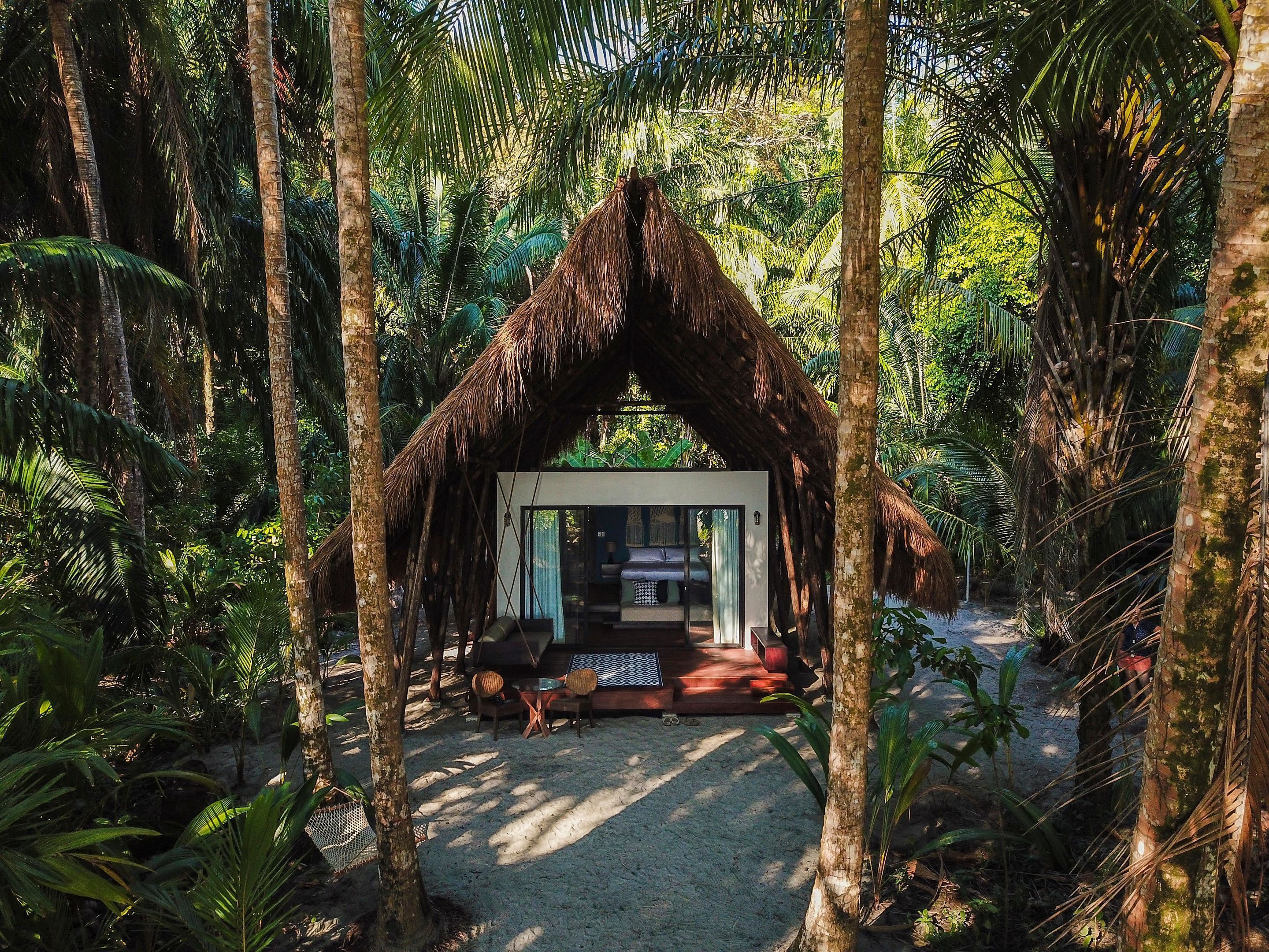 A thatched-roof hut with a glass door, surrounded by dense tropical foliage.