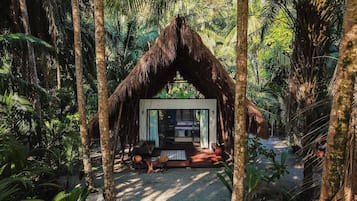 A thatched-roof hut with a glass door, surrounded by dense tropical foliage.