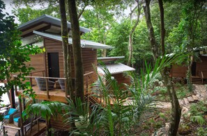 Property grounds - Isla Palenque Member of the Cayuga Collection (Boca Chica)