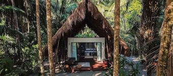 Isla Palenque Member of the Cayuga Collection