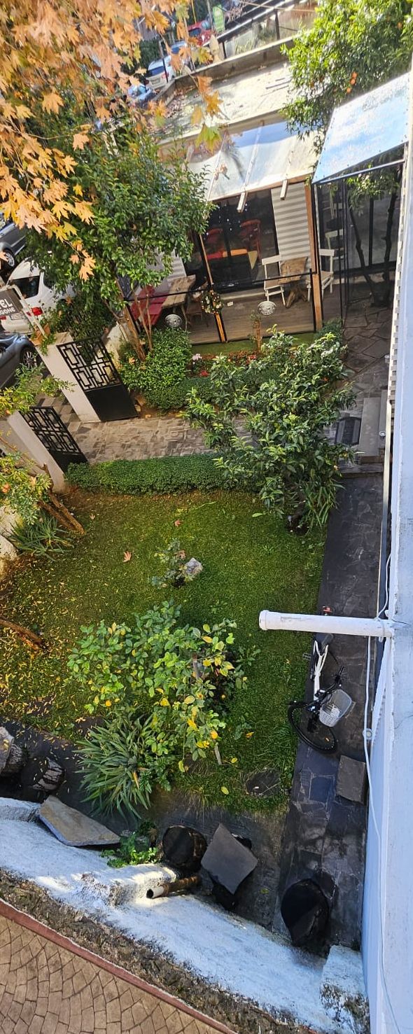 Une cour avec une pelouse, un mur en pierre et un portail en métal.
