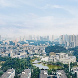 1 dormitorio, ropa de cama hipoalergénica, edredones de plumas y minibar