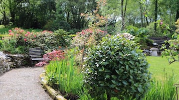 A garden pathway with a bench, surrounded by various plants and flowers.