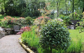 Un sendero en un jardín con un banco, rodeado de diversas plantas y flores.