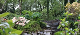 Five Oaks Bed & Breakfast